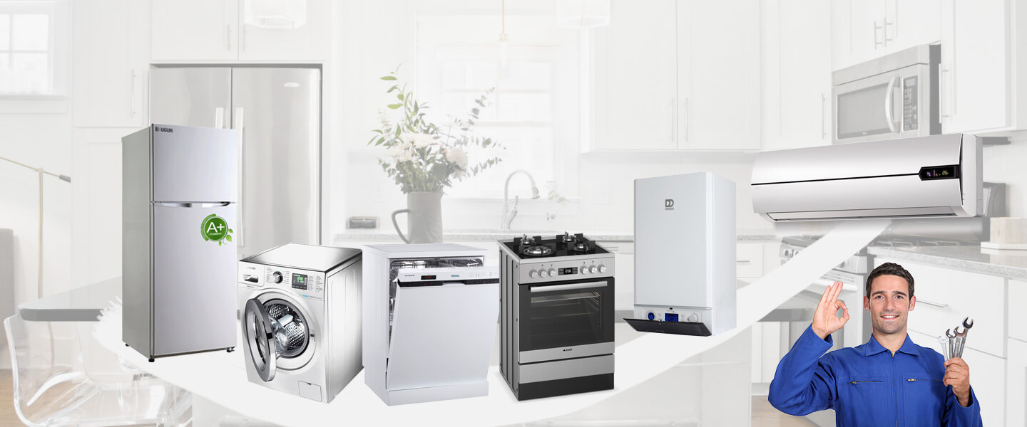 Boyalık Vaillant Servisi